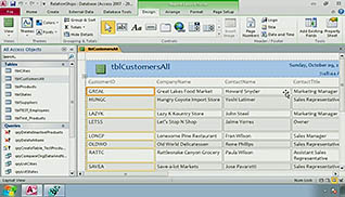 Microsoft Access 2010: Generating Reports