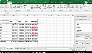 Microsoft Excel 2016 Level 3.5: Creating Sparklines and Mapping Data