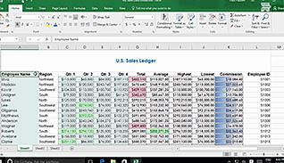 Microsoft Excel 2016 Level 1.6: Managing Workbooks