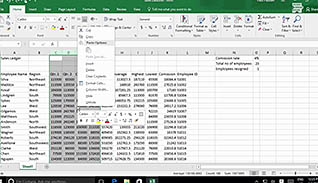 Microsoft Excel 2016 Level 1.3: Modifying a Worksheet