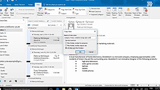 Microsoft Outlook 2016 Level 2.2: Organizing, Searching, and Managing Messages