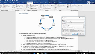 Microsoft Word 2016 Level 3.4: Adding Document References and Links