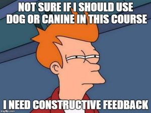 constructive feedback 
